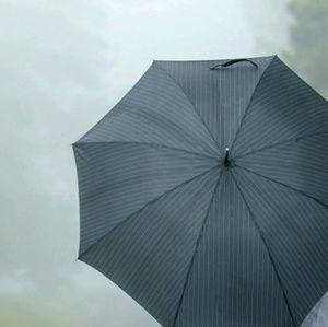 Meet your Posher, Ray